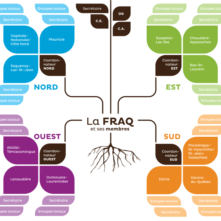 FRAQ_Structure_Tableau