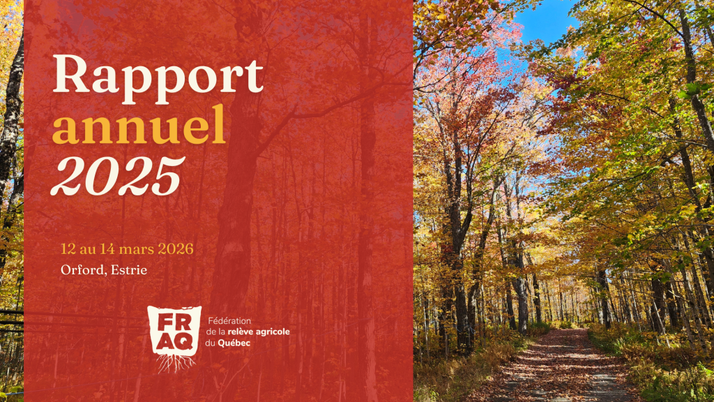 Rapport annuel 2025